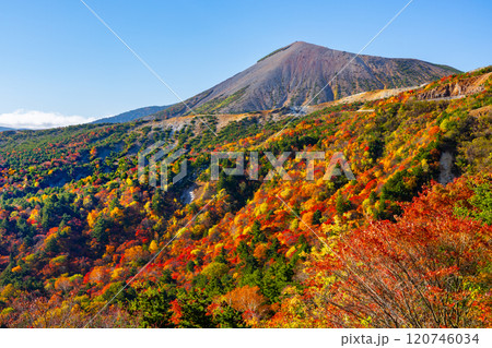 福島県福島市　高湯温泉と土湯峠を結ぶ磐梯吾妻スカイライン　天狗の庭付近の鮮やかな紅葉と吾妻小富士 120746034