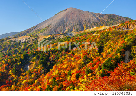 福島県福島市　高湯温泉と土湯峠を結ぶ磐梯吾妻スカイライン　天狗の庭付近の鮮やかな紅葉と吾妻小富士 120746036