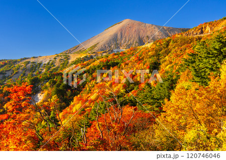 福島県福島市 高湯温泉と土湯峠を結ぶ磐梯吾妻スカイライン 天狗の庭付近の鮮やかな紅葉と吾妻小富士 福島県福島市 高湯温泉と土湯峠を結ぶ磐梯吾妻スカイライン 天狗の庭付近の鮮やかな紅葉と吾妻小富士 120746046