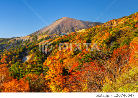 福島県福島市　高湯温泉と土湯峠を結ぶ磐梯吾妻スカイライン　天狗の庭付近の鮮やかな紅葉と吾妻小富士 120746047