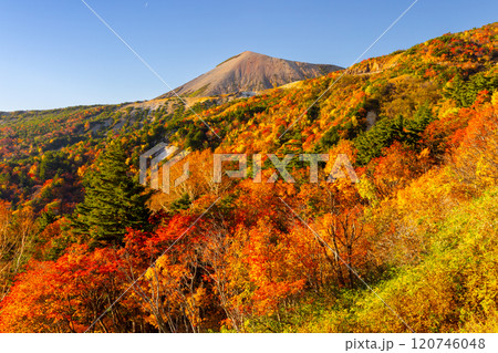 福島県福島市　高湯温泉と土湯峠を結ぶ磐梯吾妻スカイライン　天狗の庭付近の鮮やかな紅葉と吾妻小富士 120746048
