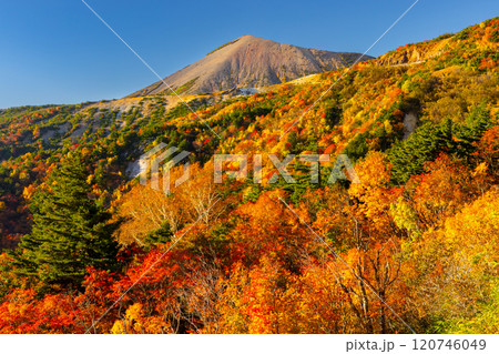 福島県福島市　高湯温泉と土湯峠を結ぶ磐梯吾妻スカイライン　天狗の庭付近の鮮やかな紅葉と吾妻小富士 120746049