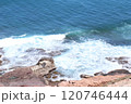 オーストラリア　海　波 120746444