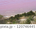 オーストラリア　ピンクレイク Pink Lake 120746445
