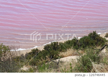 オーストラリア ピンクレイク Pink Lake オーストラリア ピンクレイク Pink Lake 120746445