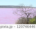 オーストラリア　ピンクレイク　Pink Lake 120746446