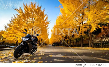 バイク旅行　銀杏並木に停車されたバイク 120746480