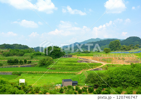 飛鳥・高松塚古墳 120746747