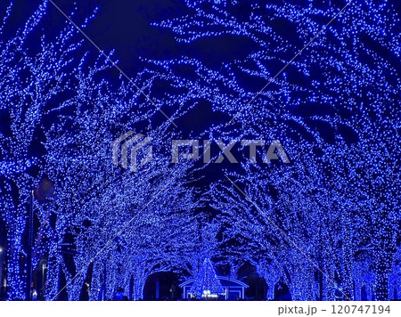 青の洞窟イルミネーション 120747194