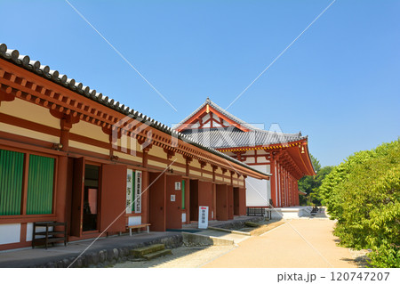 奈良・薬師寺 120747207