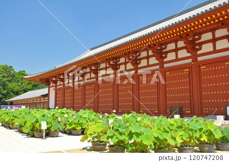 奈良・薬師寺 奈良・薬師寺 120747208