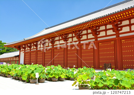 奈良・薬師寺 120747213