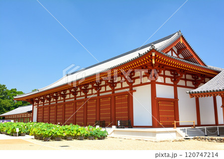 奈良・薬師寺 120747214