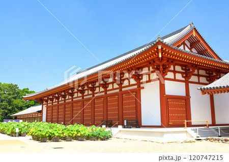 奈良・薬師寺 120747215