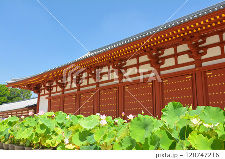 奈良・薬師寺 120747216