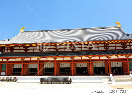 奈良・薬師寺 120747224