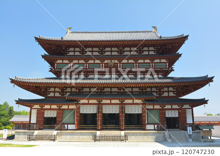 奈良・薬師寺 120747230