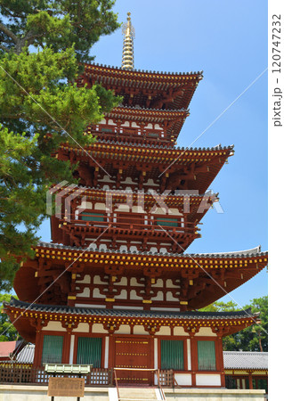 奈良・薬師寺 120747232