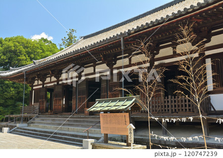 奈良・薬師寺 120747239