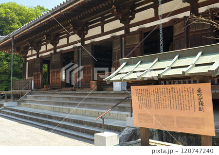 奈良・薬師寺 120747240