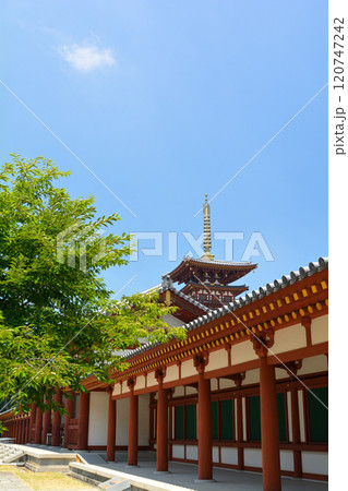 奈良・薬師寺 奈良・薬師寺 120747242
