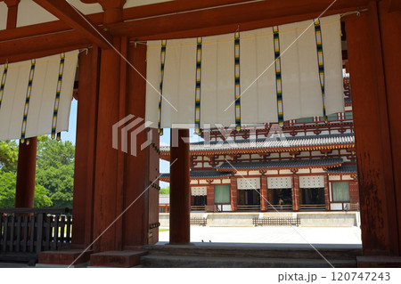 奈良・薬師寺 120747243