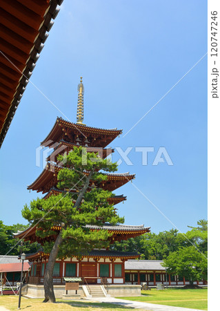 奈良・薬師寺 奈良・薬師寺 120747246