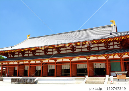 奈良・薬師寺 奈良・薬師寺 120747249
