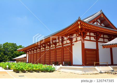 奈良・薬師寺 奈良・薬師寺 120747385