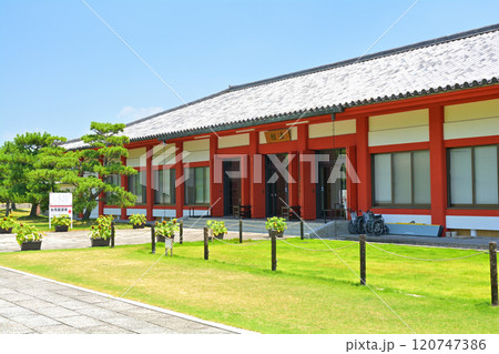 奈良・薬師寺 120747386