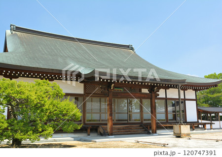 奈良・薬師寺 120747391