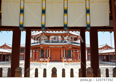 奈良・薬師寺 120747392