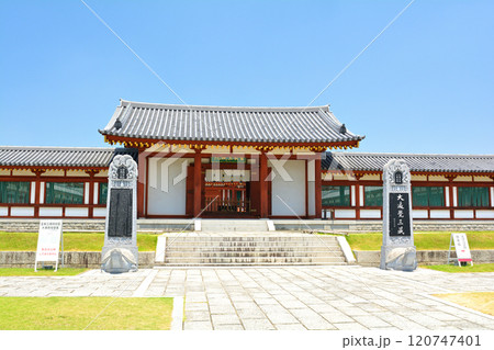 奈良・薬師寺 120747401