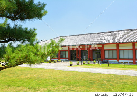 奈良・薬師寺 120747419