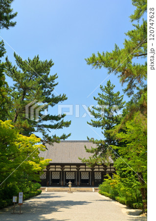 奈良・唐招提寺 奈良・唐招提寺 120747628