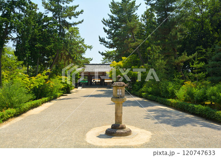 奈良・唐招提寺 120747633