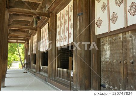 奈良・唐招提寺 120747824