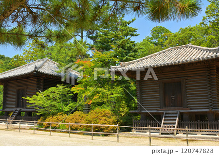 奈良・唐招提寺 120747828