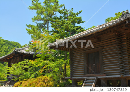 奈良・唐招提寺 120747829