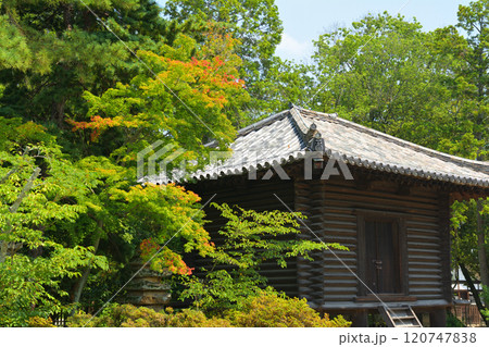 奈良・唐招提寺 120747838
