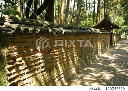奈良・唐招提寺 奈良・唐招提寺 120747839