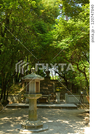 奈良・唐招提寺 奈良・唐招提寺 120747840