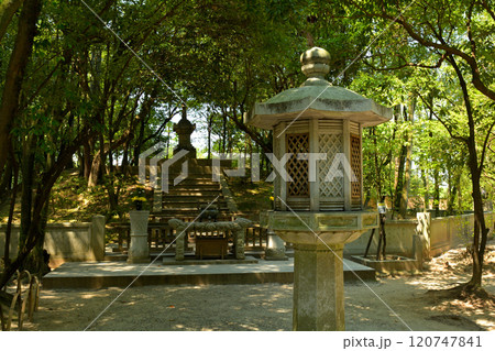 奈良・唐招提寺 120747841