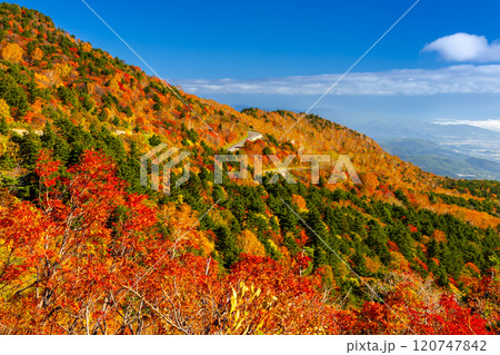 福島県福島市　高湯温泉と土湯峠を結ぶ磐梯吾妻スカイラインの乙女沢付近の鮮やかな紅葉 120747842