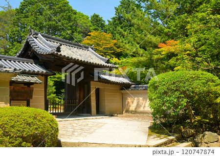 奈良・唐招提寺 120747874