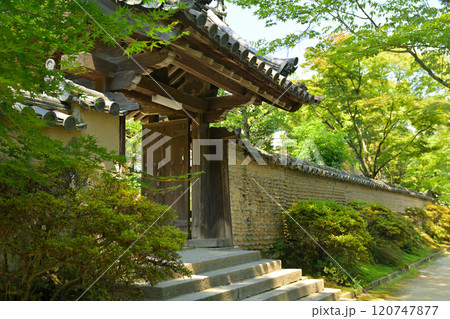 奈良・唐招提寺 120747877