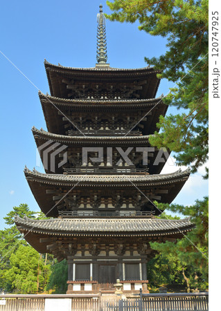奈良・興福寺 奈良・興福寺 120747925