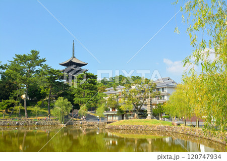 奈良・興福寺 120747934