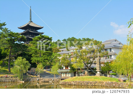 奈良・興福寺 奈良・興福寺 120747935