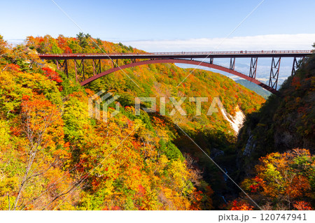 福島県福島市　高湯温泉と土湯峠を結ぶ磐梯吾妻スカイライン　つばくろ谷の不動沢橋と紅葉の景色 120747941